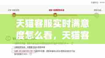 天猫客服实时满意度怎么看,天猫客服响应时长怎么看