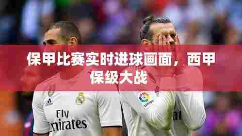 保甲比赛实时进球画面，西甲保级大战 