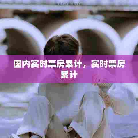 国内实时票房累计,实时票房 累计