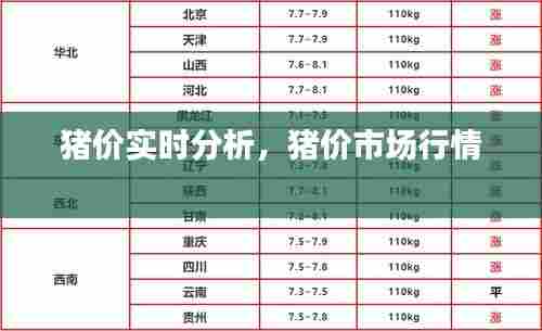 猪价实时分析,猪价市场行情