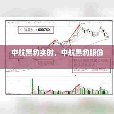 中航黑豹实时,中航黑豹股份