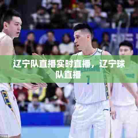 辽宁队直播实时直播,辽宁球队直播