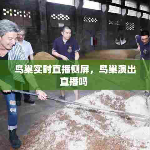 鸟巢实时直播侧屏,鸟巢演出直播吗