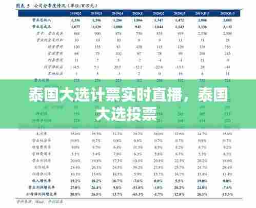 泰国大选计票实时直播，泰国大选投票 