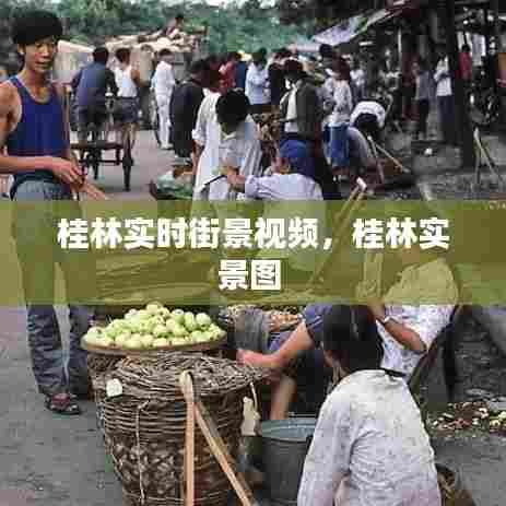 桂林实时街景视频,桂林实景图