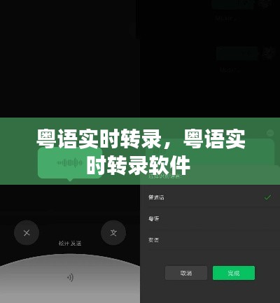 粤语实时转录,粤语实时转录软件