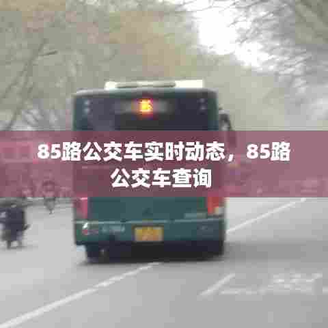 85路公交车实时动态,85路公交车查询