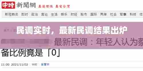 民调实时，最新民调结果出炉 