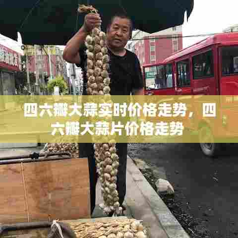 四六瓣大蒜实时价格走势,四六瓣大蒜片价格走势