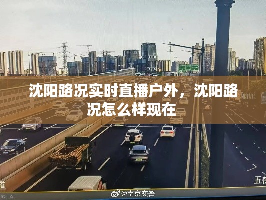 沈阳路况实时直播户外，沈阳路况怎么样现在 