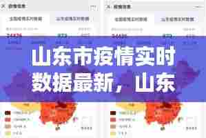 山东市疫情实时数据最新,山东市疫情实时数据最新情况