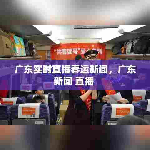 广东实时直播春运新闻,广东新闻 直播