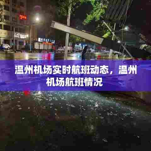 温州机场实时航班动态,温州机场航班情况