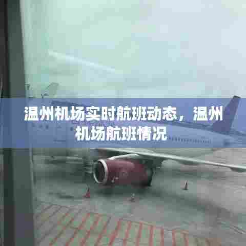 温州机场实时航班动态,温州机场航班情况