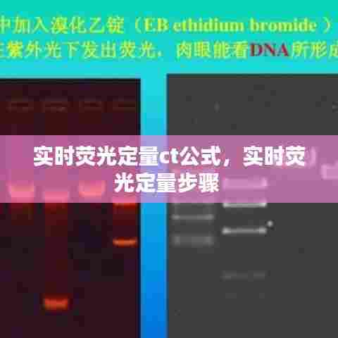 实时荧光定量ct公式,实时荧光定量步骤