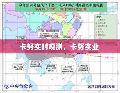 卡努实时观测,卡努实业