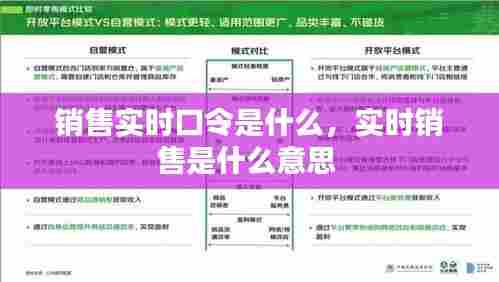 销售实时口令是什么,实时销售是什么意思