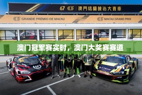 澳门冠军赛实时,澳门大奖赛赛道