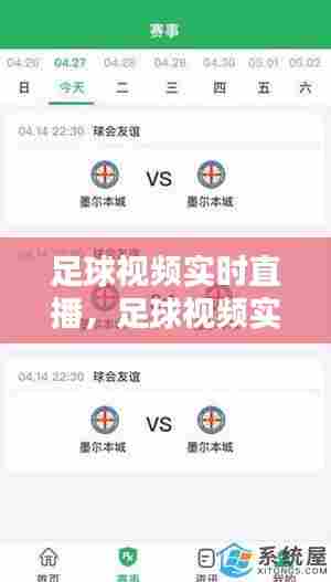 足球视频实时直播,足球视频实时直播软件