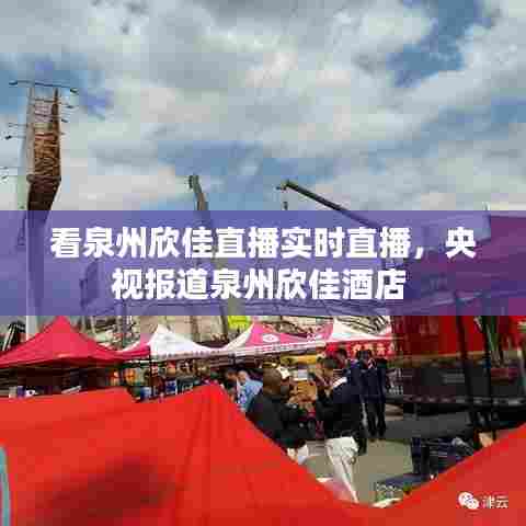 看泉州欣佳直播实时直播,央视报道泉州欣佳酒店