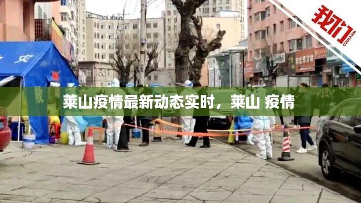 莱山疫情最新动态实时，莱山 疫情 