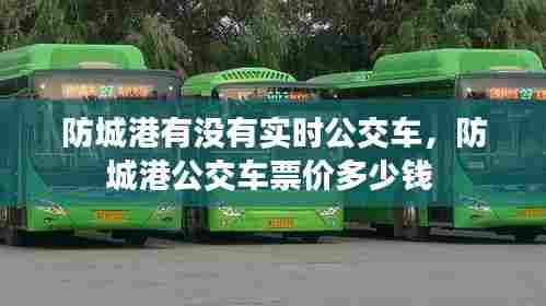 防城港有没有实时公交车,防城港公交车票价多少钱