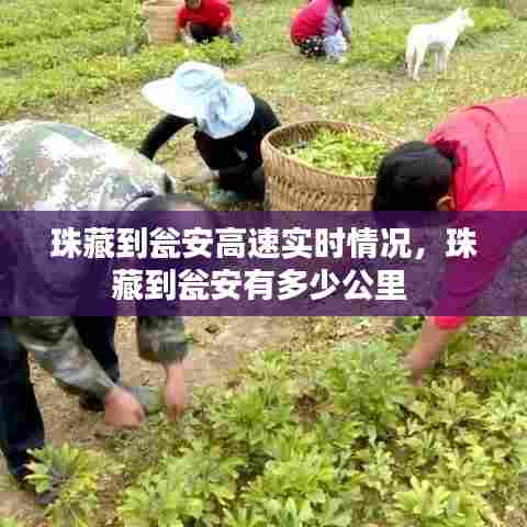 珠藏到瓮安高速实时情况,珠藏到瓮安有多少公里