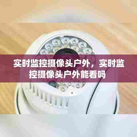 张灯挂彩 第7页