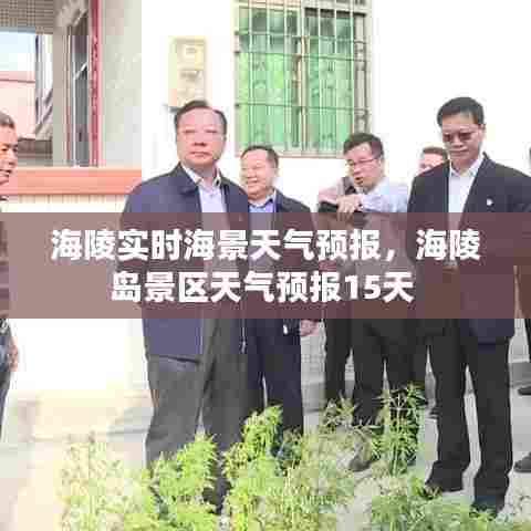 海陵实时海景天气预报,海陵岛景区天气预报15天