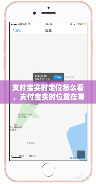 支付宝实时定位怎么看,支付宝实时位置在哪里