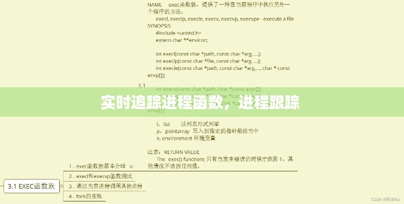 实时追踪进程函数,进程跟踪