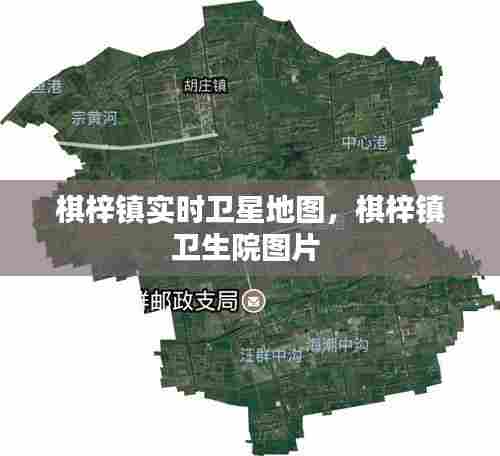 棋梓镇实时卫星地图,棋梓镇卫生院图片