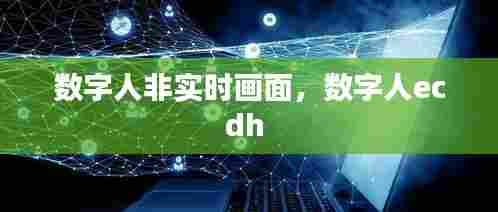 数字人非实时画面，数字人ecdh 