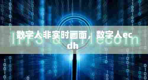 数字人非实时画面,数字人ecdh