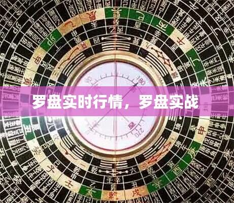 罗盘实时行情,罗盘实战