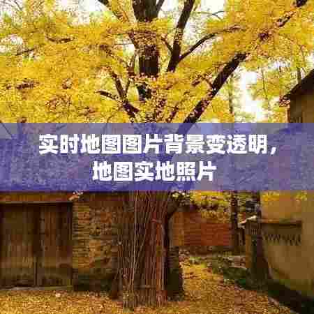实时地图图片背景变透明,地图实地照片