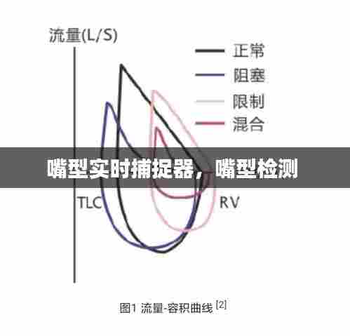 嘴型实时捕捉器,嘴型检测