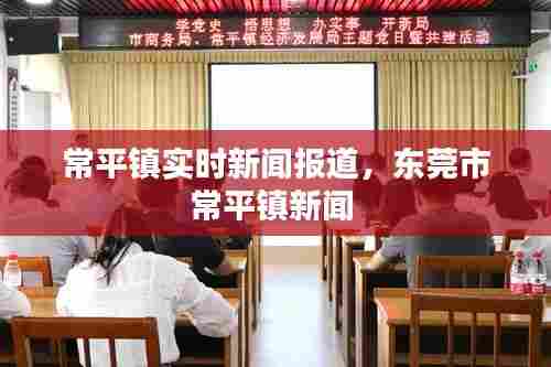 常平镇实时新闻报道,东莞市常平镇新闻
