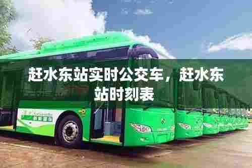 赶水东站实时公交车，赶水东站时刻表 