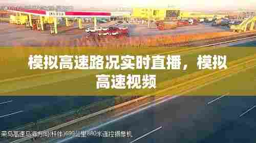 贵险贱璧 第7页