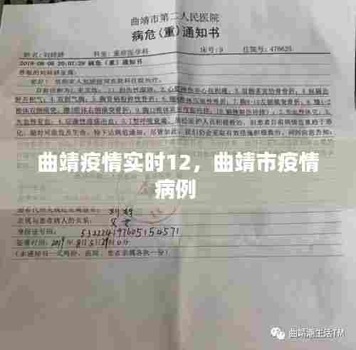 曲靖疫情实时12,曲靖市疫情病例