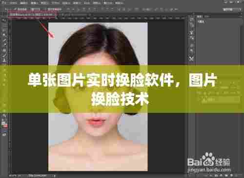 单张图片实时换脸软件,图片换脸技术