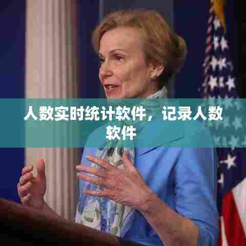 人数实时统计软件,记录人数软件
