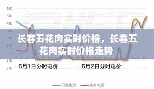 长春五花肉实时价格，长春五花肉实时价格走势 