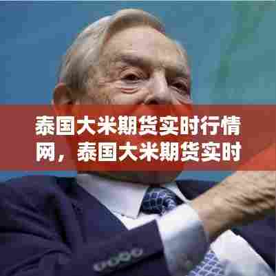 泰国大米期货实时行情网，泰国大米期货实时行情网站 