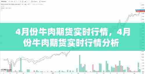 4月份牛肉期货实时行情,4月份牛肉期货实时行情分析