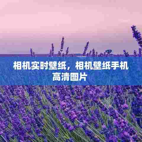 相机实时壁纸，相机壁纸手机高清图片 