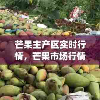 芒果主产区实时行情,芒果市场行情