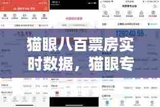 猫眼八百票房实时数据,猫眼专业版票房实时数据