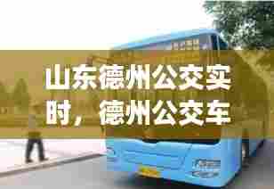 山东德州公交实时，德州公交车实时查询app 